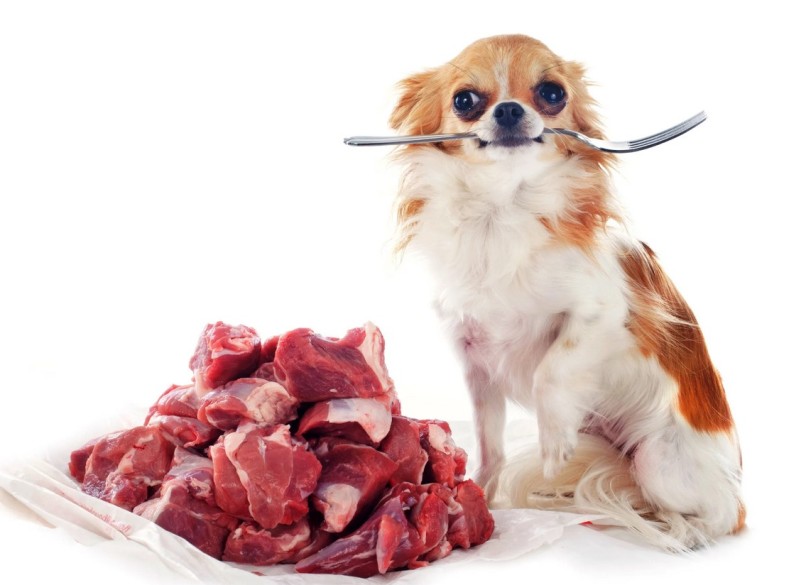 Пес и мясо
