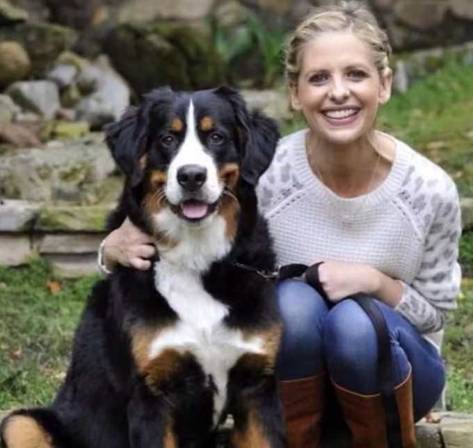 Сара Мишель Геллар со своей собакой