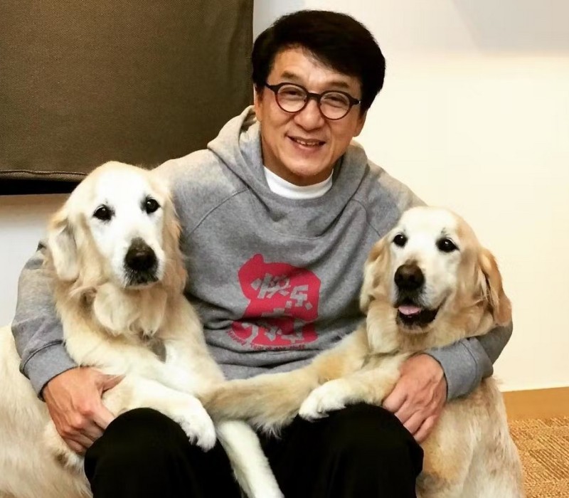 Джеки Чан и его собаки
